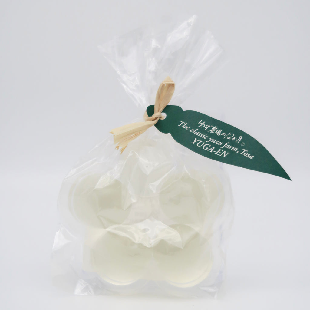 IMG_8822_1024x.jpg?v=1624087800